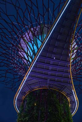 Supertree Grove Baldachin beleuchtet den Nachthimmel in Singapur-stock-photo