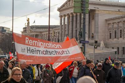 Wien, Europa, 1. M?rz 2025, Demonstration, Neuwahlen jetzt!, Protest, ?VP, SP?, NEOS, Regierungskritik, Wahlkampf, polit-stock-photo