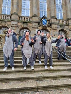 Fasching, Fastnacht, Karneval n Kassel-stock-foto