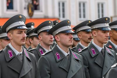 enns, austria, 28 feb 2025, military event, tag der wachtmeister, 400 soldiers sworn in the military in the position of-stock-foto