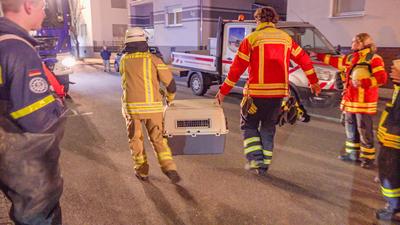 Dramatische Rettung aus Brunnenschacht in Stutensee findet nach unfassbaren 9 Stunden ein Happy End: Sch?ferhund ,,Loki" (13) f?llt in vier Meter tiefen Brunnenschaft in Anbau von Wohnhaus - Feuerwehr und Technisches Hilfswerk graben Rohr-Schacht m?hse-stock-foto