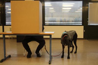 Dennis Thering - CDU Spitzenkandidat hat gew?hlt-stock-foto