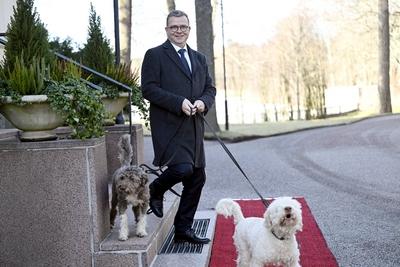State visit to Finland by their Majesties King Frederik X and Queen Mary of Denmark-stock-foto