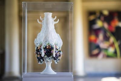 Schloss Pillnitz Ausstellung K?nstlerische Interventionen von Margret Eicher, Luzia Simons, Rebecca Stevenson und Myria-stock-photo