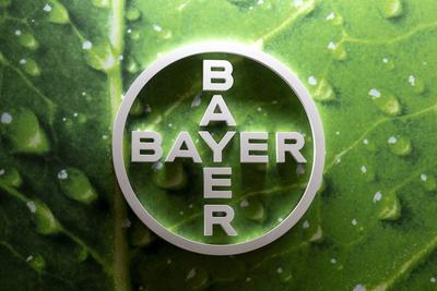 Augsburg, Swabia, Bavaria, Germany - October 11, 2024: Bayer AG logo of the chemical and pharmaceutical company for heal-stock-foto
