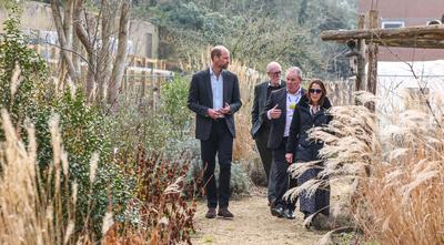 Prince William in Reading-stock-photo