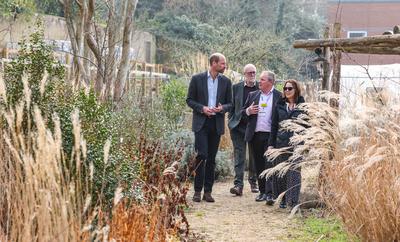 Prince William in Reading-stock-photo