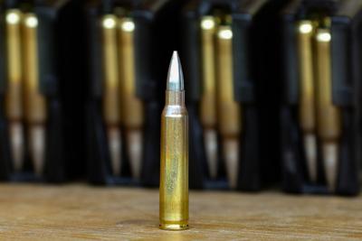 Niedersachsen, Nienburg, Landeskommando Niedersachsen, Ausbildung zum Soldaten der Reserve, Soldat der Reserve: Munitio-stock-photo