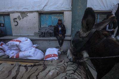 The United Nations Relief and Works Agency for Palestine Refugees in the Near East (UNRWA) continues to distribute flour bags to the residents of the Gaza Strip in Jabalia camp-stock-foto