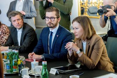 20250311 Expertengespraech der Bundesregierung zum Thema Familiennachzug und Integration-stock-foto