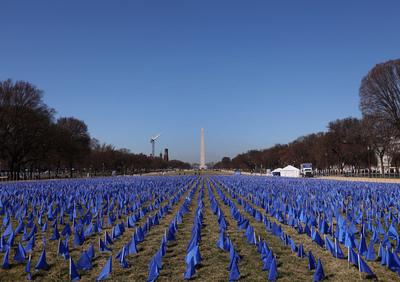 United in Blue a flag instalation in Washington, DC - 11 Mar 2025-stock-photo