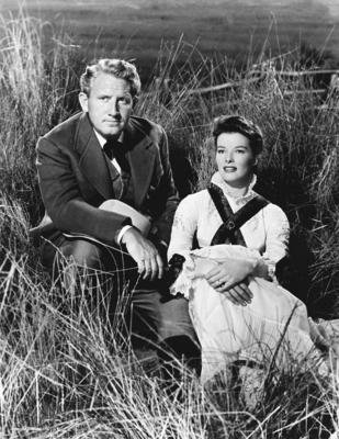 KPA60468 jpg ENDLOS IST DIE PR?RIE The Sea of Grass USA 1947 Elia Kazan Col J Brewton SPENCER-stock-foto