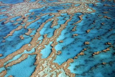 Riffe und Atolle des Great Barrier Reef, Australien mcpins *** Reefs and atolls of the Great Barrier Reef, Australia mcp-stock-foto