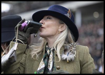 Cheltenham Festival-Day Three-stock-foto