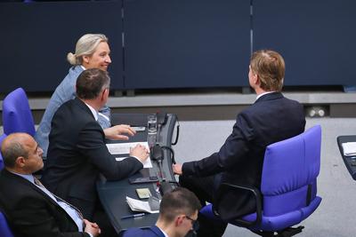 Berlin, Deutschland, 13.03.2025: Deutscher Bundestag: 213. Bundestagssitzung: Die AfD-Fraktion am?siert sich, unter ande-stock-foto