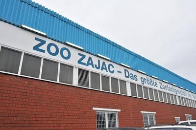 Bildnummer: 56963939  Datum: 21.01.2012  Copyright: imago/RevierfotoZoo Zajac am 21.01.2012 in Duisburg Das Zoo - Fachgesch?ft Zoo - Zajac hat am Freitag den 20.01.2012 mit dem umstrittenen Verkauf von Hundewelpen begonnen. Foto: Revierfoto Wirtschaft Einzelhandel x0x xkg 2012 quer premiumd Au?enaufnahme Duisburg Firmenlogo Hunde Hundewelpen Innenaufnahme Laden Tierschutz Welpen Zajac Zoo Zoogesch?ft Zoohandlung Zooladen Zoozajac  56963939 Date 21 01 2012 Copyright Imago Spot photo Zoo  at 21 01 2012 in Duisburg the Zoo Store Zoo  has at Friday the 20 01 2012 with the controversial Sale from Puppies begun Photo Spot photo Economy Retail x0x xkg 2012 horizontal premiumd Outside view Duisburg Company logo Dogs Puppies Interior shot shop Animal welfare Puppies  Zoo Zoogesch?ft Zoohandlung Zooladen-stock-photo