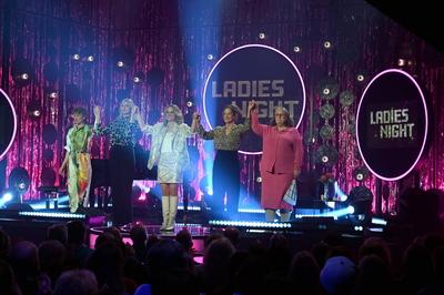 Ladies Night 2 / 2025-stock-photo