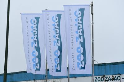 Zoo Zajac ist insolvent-stock-foto