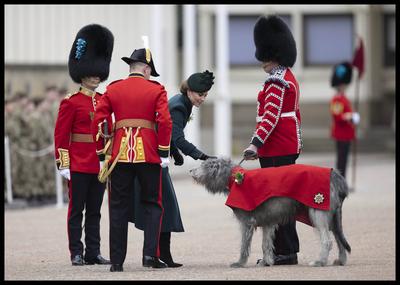 Kate Middleton at the Irish Guard's St.Patrick's Day Parade-stock-photo