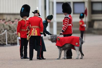 Kate Middleton at the Irish Guard's St.Patrick's Day Parade-stock-photo
