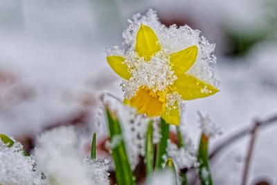 Der Winter ist zur?ck.-stock-foto
