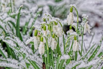 Der Winter ist zur?ck.-stock-foto