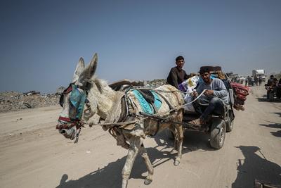 Palestinians leave their homes after the Israeli army issued evacuation orders for several neighborhoods in Beit Hanoun, northern Gaza Strip-stock-foto