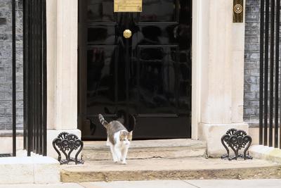 Keir Starmer Departs Downing Street for PMQs in London-stock-foto