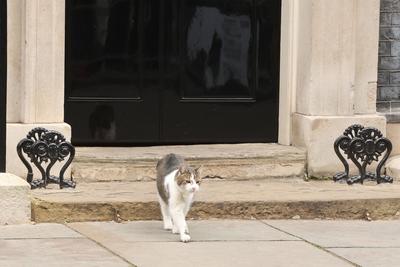 Keir Starmer Departs Downing Street for PMQs in London-stock-foto