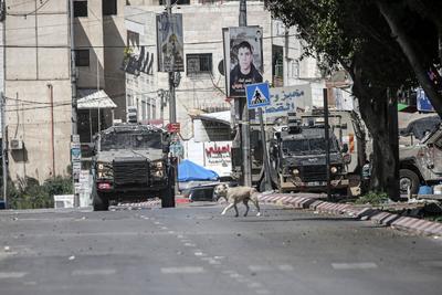Israeli soldiers detain people as they conduct a raid in the Al-ain camp for Palestinian refugees west of Nablus in the occupied West Bank-stock-foto