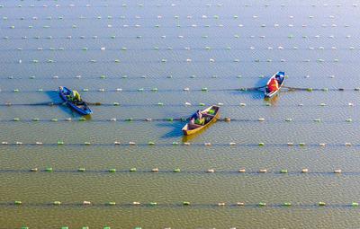 Pearl Farming in Suqian-stock-foto