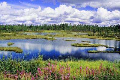 Bilder der Erde typische Seenlandschaft Finnland typical lakeland Finland BLWS455875 Copyright xb-stock-foto