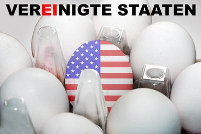 Eiermangel in den USA BEARBEITET: Nach einem umfangreichen Verlust von Legehennen durch die Vogelgrippe in den USA wurde-stock-photo