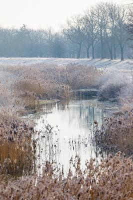 Winterwetter in Brandenburg-stock-photo