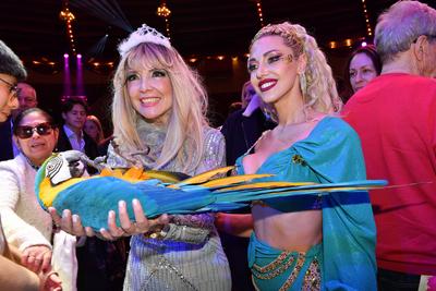 Cornelia Corba / Circus Krone / 1. Winterprogramm / Freestyle / Manege / KroneBau / M?nchen / 25. Dezember 2024 *** Corn-stock-foto