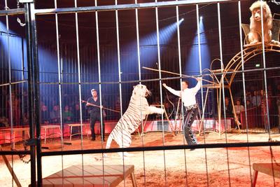 Alexis Lacey-Krone / Circus Krone / 1. Winterprogramm / Freestyle / Manege / KroneBau / M?nchen / 25. Dezember 2024 ***-stock-foto