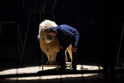 Martin Lacey jr. / Circus Krone / 1. Winterprogramm / Freestyle / Manege / KroneBau / M?nchen / 25. Dezember 2024 *** Ma-stock-foto