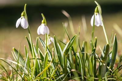 Sonniges Februarwetter-stock-foto