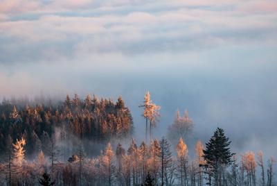 Sonnenaufgang ?ber dem Nebel-stock-foto