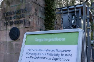 Vogelgrippe H5N1: Best?tigte F?lle bei Wei?st?rchen ? Tiergarten N?rnberg geschlossen, 18.01.2025-stock-photo