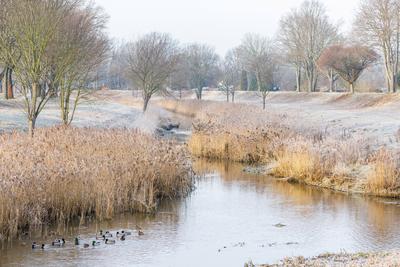 Winterwetter in Brandenburg-stock-photo