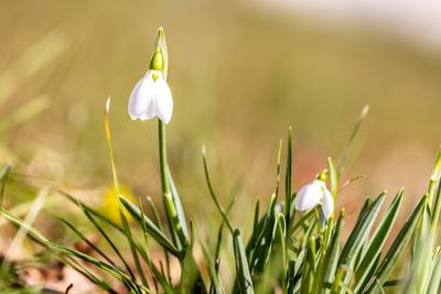 Sonniges Februarwetter-stock-foto