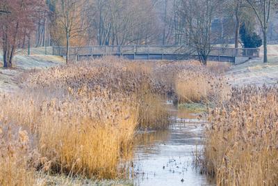 Winterwetter in Brandenburg-stock-photo