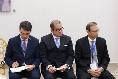 Iranian President Masoud Pezeshkian attent the D8 Summit for Economic Cooperation-stock-foto
