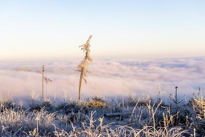 Sonnenaufgang ?ber dem Nebel-stock-foto