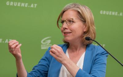 20250325 PK Die Gruenen - Plenar-Vorschau und Aktuelles-stock-photo