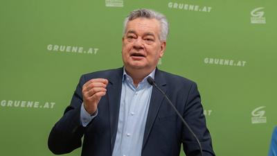 20250325 PK Die Gruenen - Plenar-Vorschau und Aktuelles-stock-photo