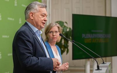 20250325 PK Die Gruenen - Plenar-Vorschau und Aktuelles-stock-photo