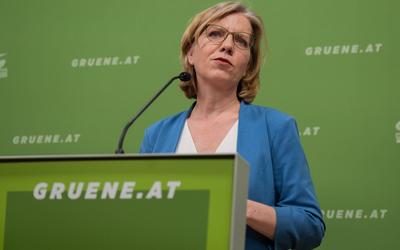 20250325 PK Die Gruenen - Plenar-Vorschau und Aktuelles-stock-photo