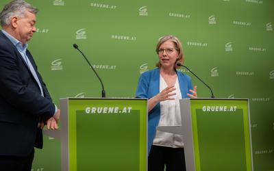 20250325 PK Die Gruenen - Plenar-Vorschau und Aktuelles-stock-photo